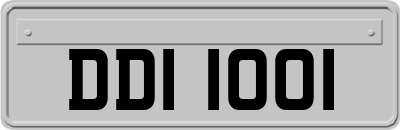 DDI1001