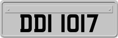 DDI1017