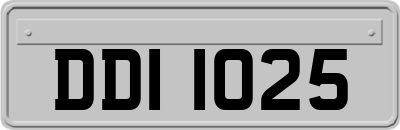 DDI1025