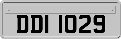 DDI1029