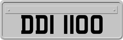 DDI1100