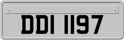 DDI1197