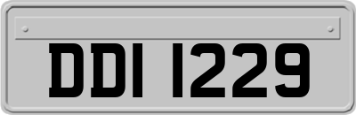 DDI1229