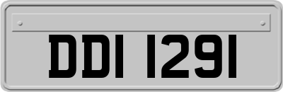 DDI1291