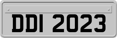 DDI2023