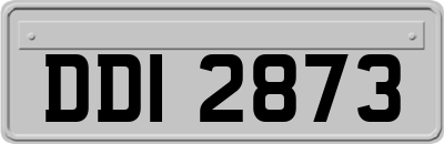 DDI2873