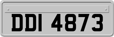 DDI4873