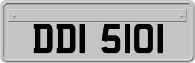 DDI5101