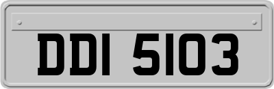DDI5103