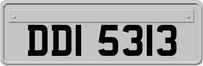 DDI5313