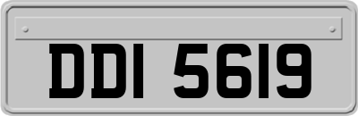 DDI5619