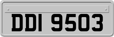 DDI9503
