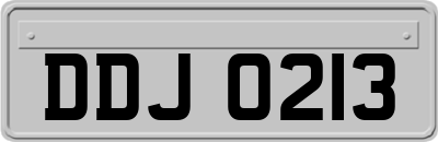 DDJ0213