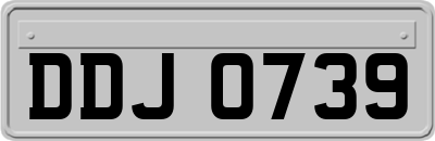 DDJ0739