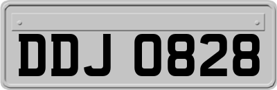 DDJ0828