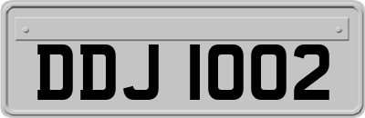 DDJ1002