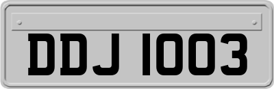 DDJ1003