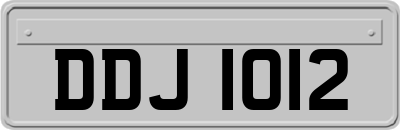 DDJ1012