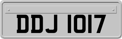 DDJ1017