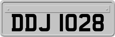 DDJ1028
