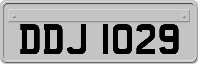DDJ1029
