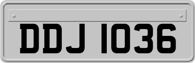 DDJ1036