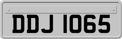 DDJ1065