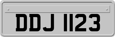 DDJ1123