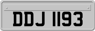 DDJ1193