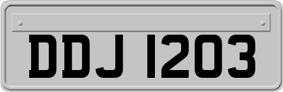 DDJ1203