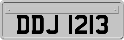 DDJ1213