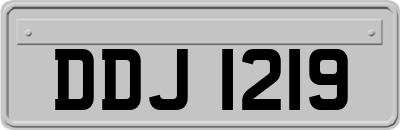 DDJ1219