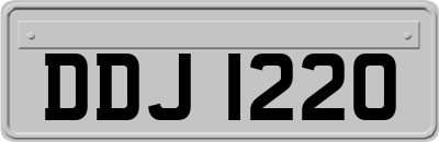 DDJ1220