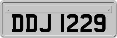 DDJ1229