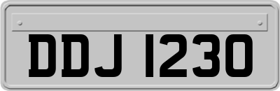 DDJ1230