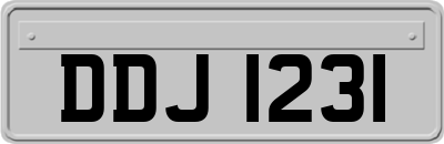 DDJ1231