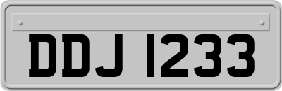 DDJ1233