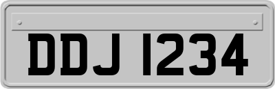 DDJ1234