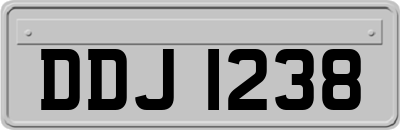 DDJ1238