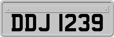 DDJ1239