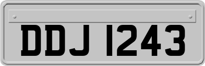 DDJ1243