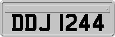 DDJ1244