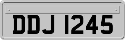 DDJ1245