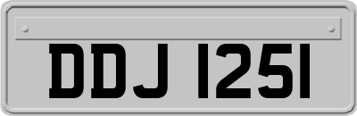 DDJ1251