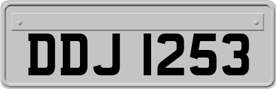 DDJ1253