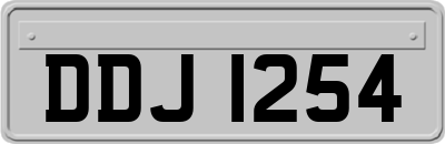 DDJ1254