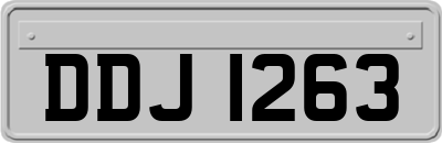DDJ1263