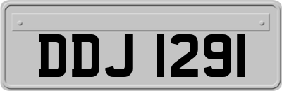 DDJ1291