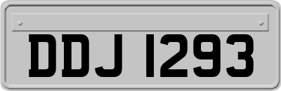 DDJ1293