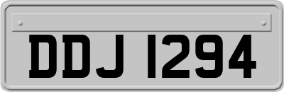 DDJ1294